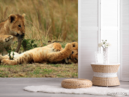 Фотошпалери Ігри левенят - 2