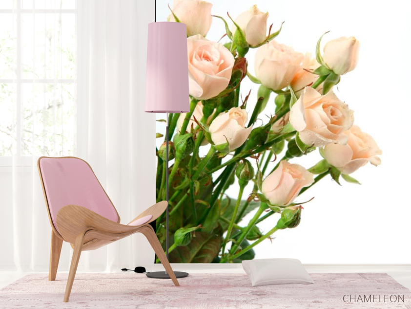 Фотошпалери Бежево-білі троянди - 4