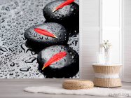 Фотошпалери Пелюстки, камені, краплі - 2