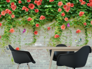 Фотошпалери Троянди на цегляній стіні - 1