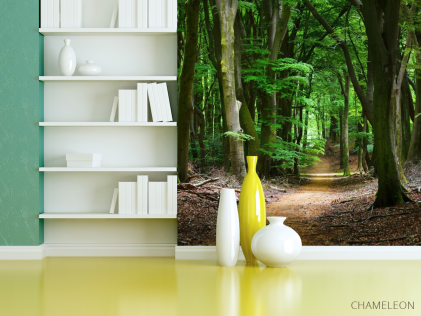 Фотообои дорога в темном лесу - 3