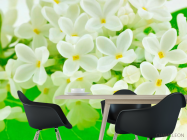 Фотошпалери Маленькі біленькі квіточки - 1