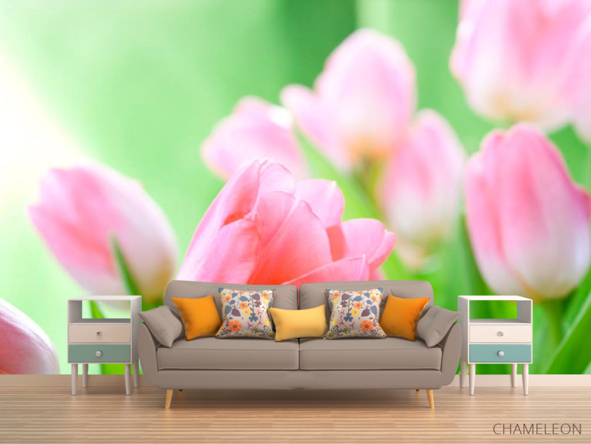 Фотообои Нежно-розовые тюльпаны - 1