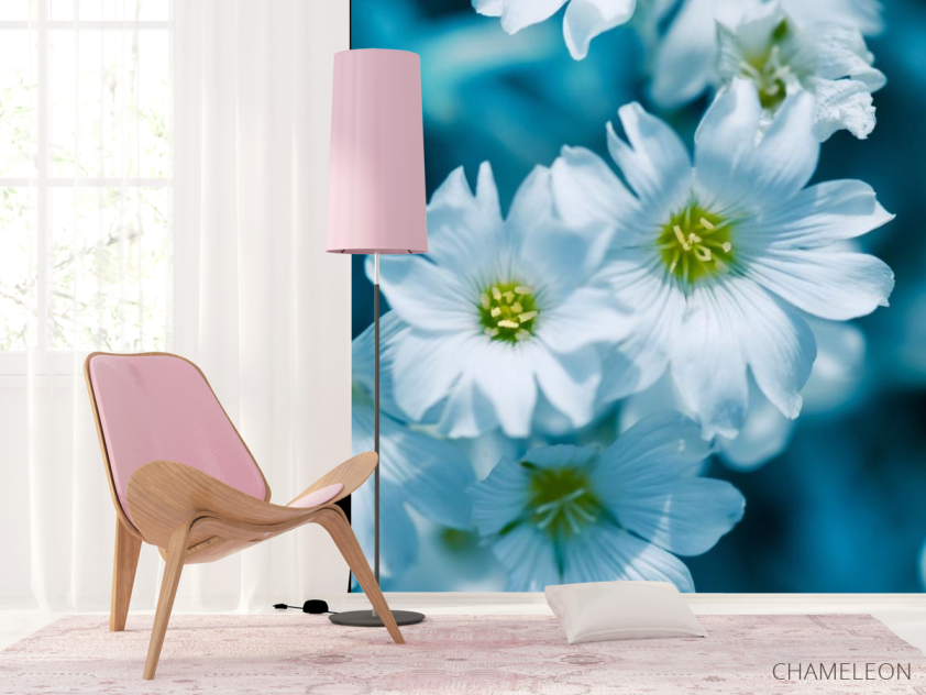 Фотошпалери Зірочник - 4