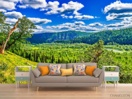 Фотообои зелено-голубая природа - 1