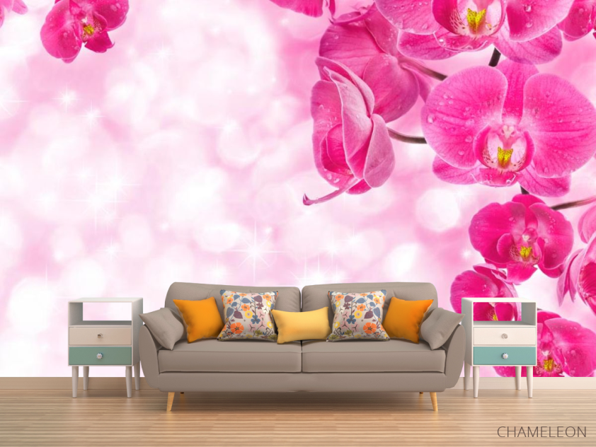 Фотообои Орхидеи розовые и вода - 1