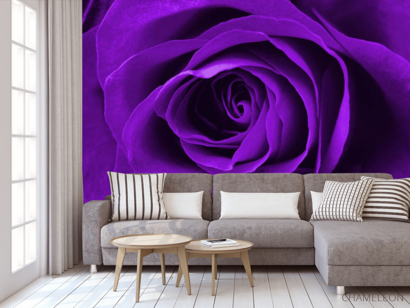 Фотообои фиолетовая роза - 3