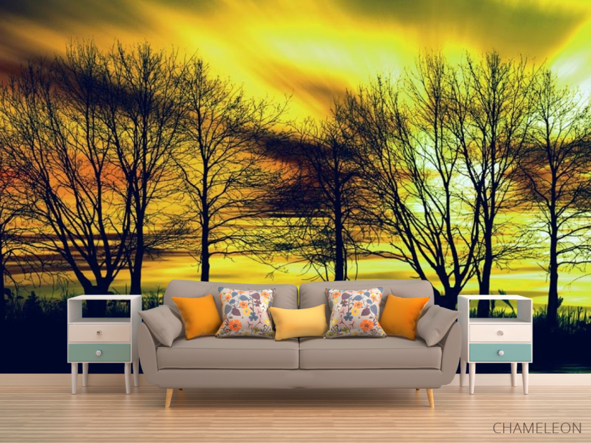 Фотообои желтое небо за деревьями - 1