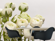 Фотошпалери білі круглі квіти - 1