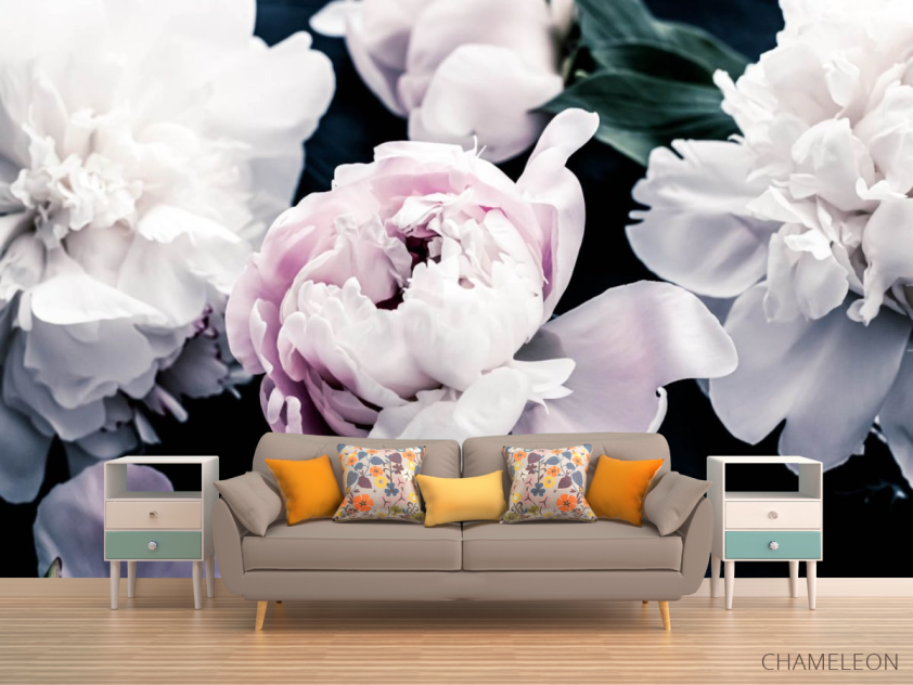 Фотообои Пионы на тёмном - 1
