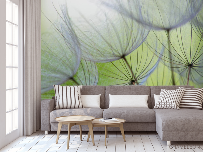 Фотообои одуванчики - 3