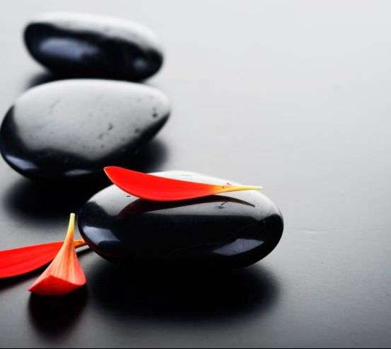 Фотообои Лепестки и камни Фотообои Лепестки и камни 3089