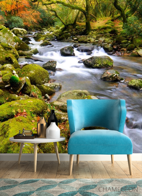 Фотообои Камни, мох - 4