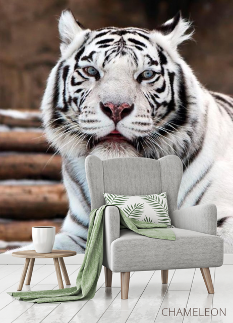 Фотообои Белый тигр - 3
