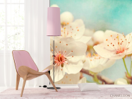 Фотошпалери Суцвіття квітів черешні - 4