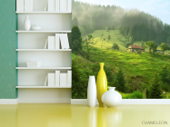 Фотошпалери особняк в лісі - 3