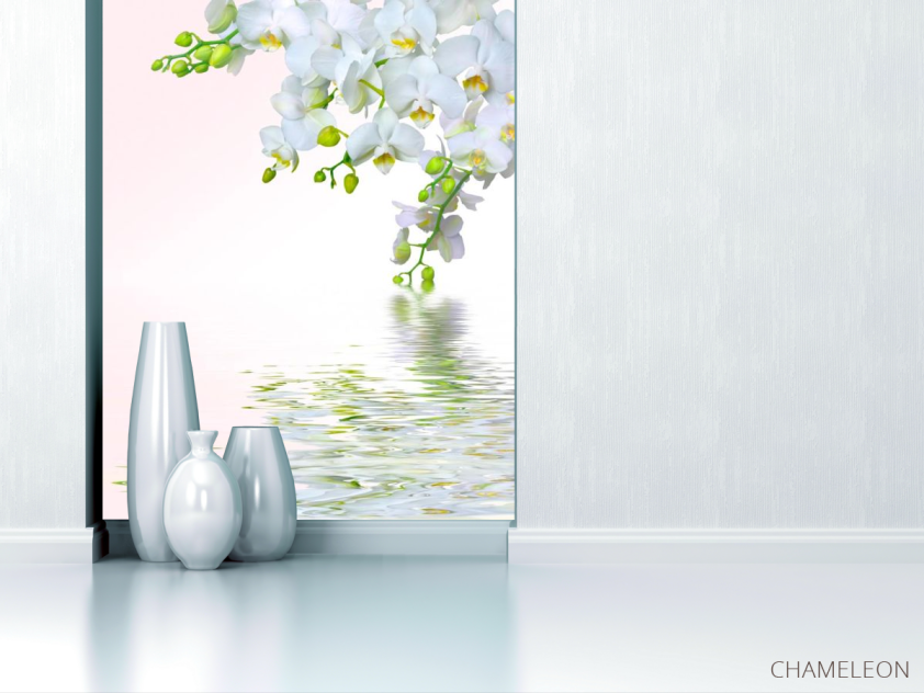 Фотообои Белоснежная омела - 1