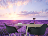 Фотошпалери Лавандове поле на сході - 1
