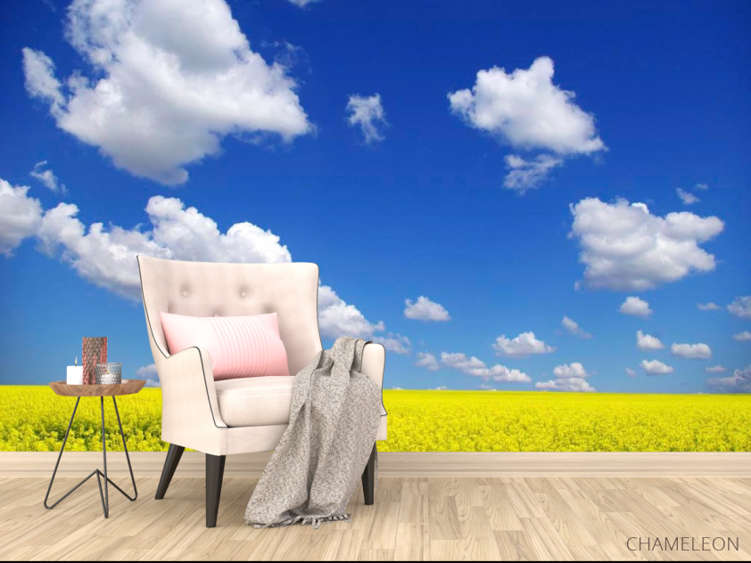 Фотообои Цвет и небо - 4