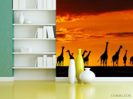 Фотошпалери багато жирафів і захід - 3