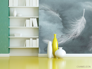 Фотошпалери Пір'я на акварельному тлі - 3