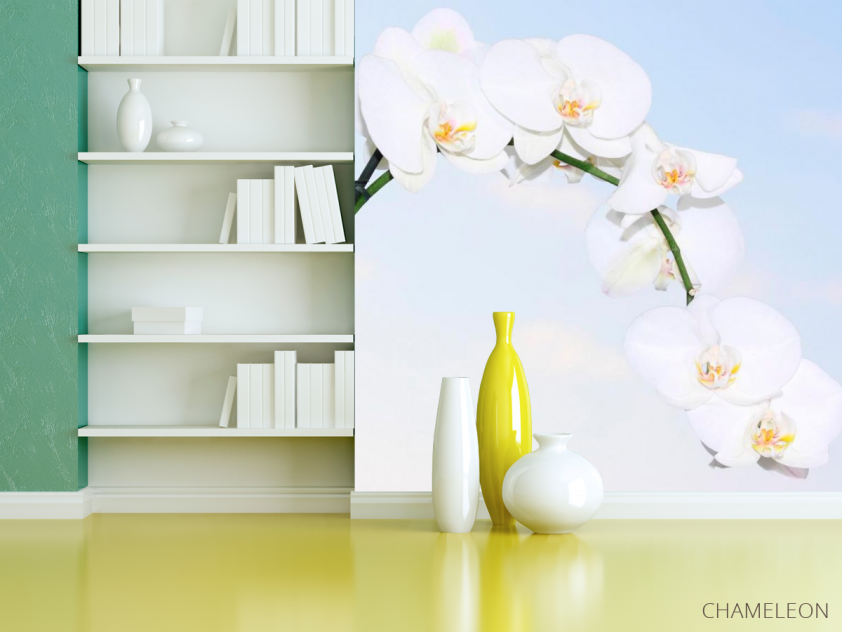 Фотообои Ветка белоснежных орхидей - 3