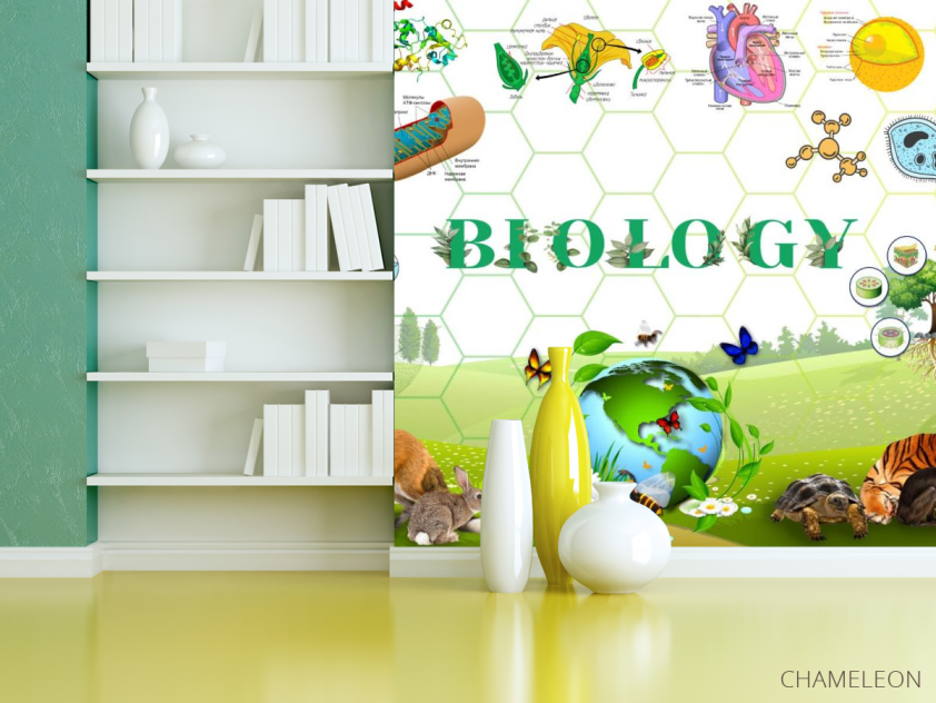 Фотошпалери Для кабінету біології - 3