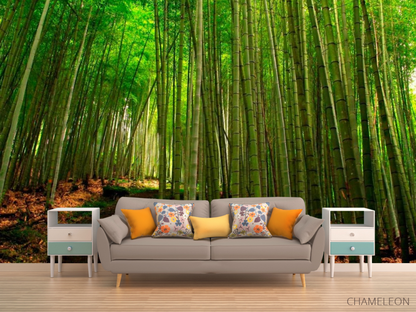 Фотообои Бамбук, тропинка - 1