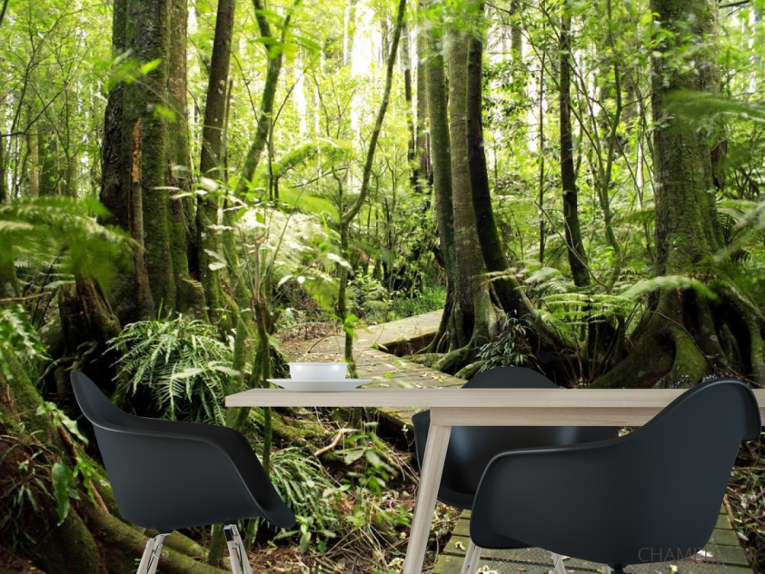 Фотошпалери дерев'яна доріжка в лісі - 1