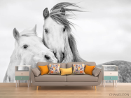 Фотообои лошадки - 1