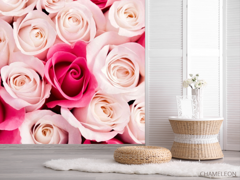 Фотошпалери Рожеві бутони троянд - 2