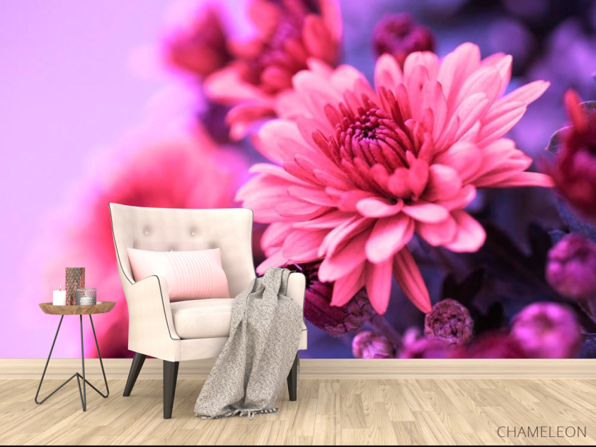 Фотообои Астры розовые - 4