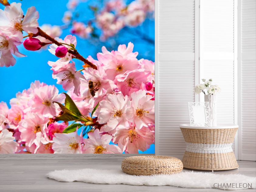 Фотошпалери Суцвіття шипшини - 2