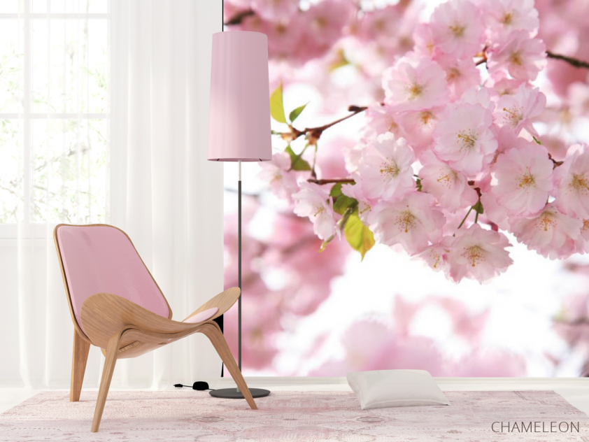 Фотошпалери квіти рожевої сакури - 4