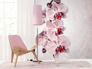 Фотошпалери Сіренькі орхідеї - 4