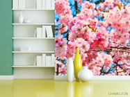 Фотошпалери Цвітіння рожевого дерева - 3