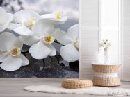 Фотошпалери білі орхідеї на чорних каменях - 2