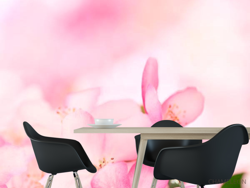 Фотошпалери Букет рожевих квітів - 1