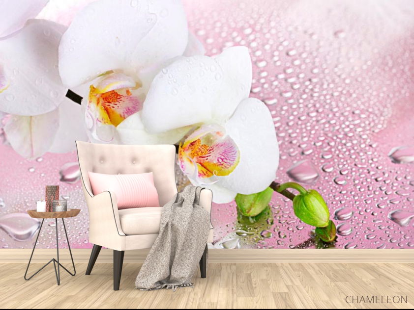 Фотообои Две белых орхидеи - 4