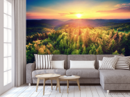 Фотообои закат над сосновым лесом - 3