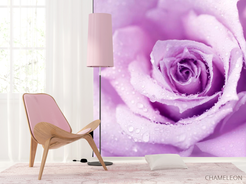 Фотошпалери троянда - 4