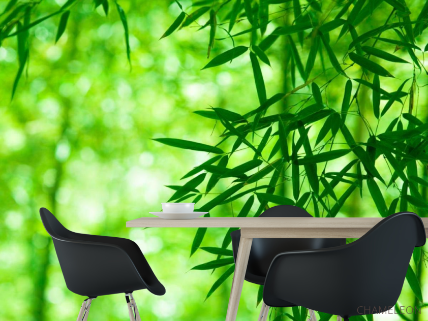 Фотообои Зелень тропическая - 1