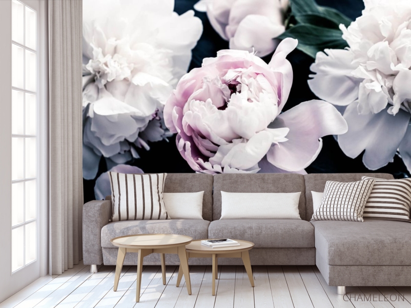 Фотообои Пионы на тёмном - 3