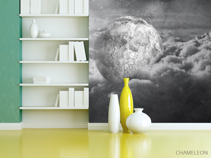 Фотошпалери сіра місяць - 3