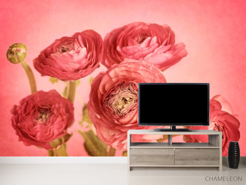 Фотообои Коралловый пион - 2