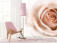 Фотошпалери Роза кремово-коричневий - 4