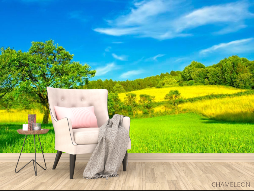 Фотообои Поле, дерево, луг - 4