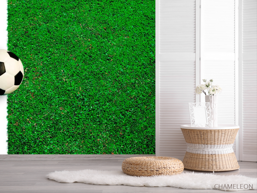 Фотошпалери М'яч на лінії - 2