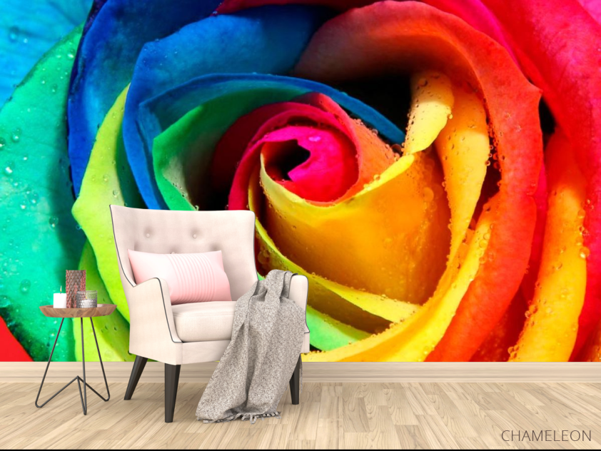 Фотообои Разноцветная роза - 4