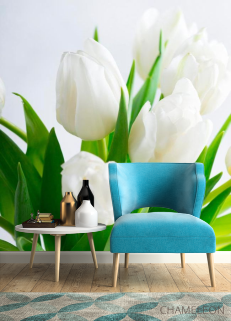 Фотообои Тюльпаны - 4